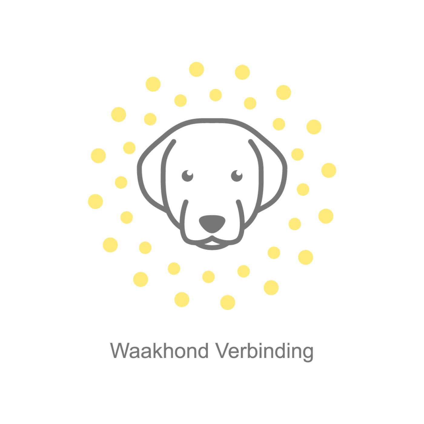 100.met tekst_55%.jpg