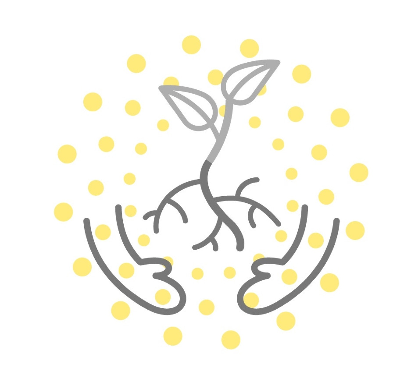 23.zonder tekst_55% - versie 3.jpg