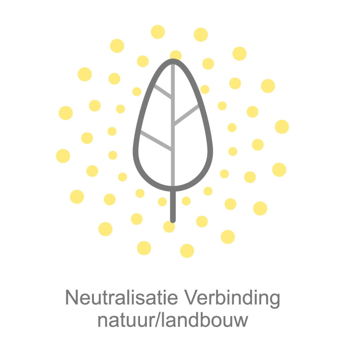 5.met tekst_55%_2.jpg