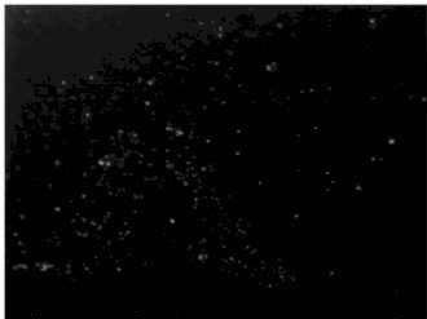 t-f_leidingw (6,8kb).jpg