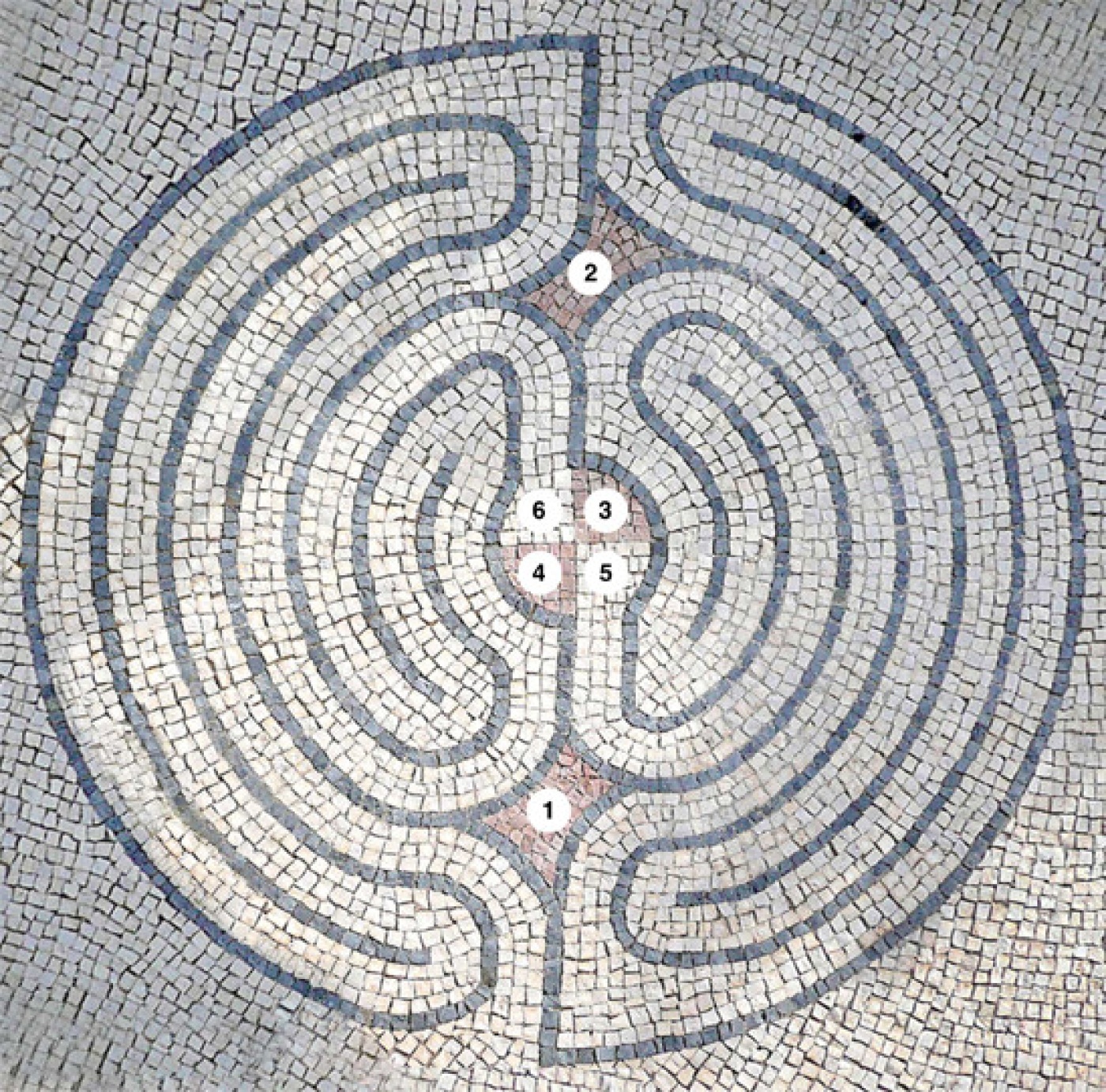 vlakken aquarius labyrint met nrs.jpg